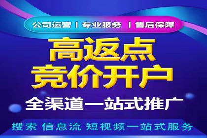 经典案例：SEM代运营服务公司的成功之路